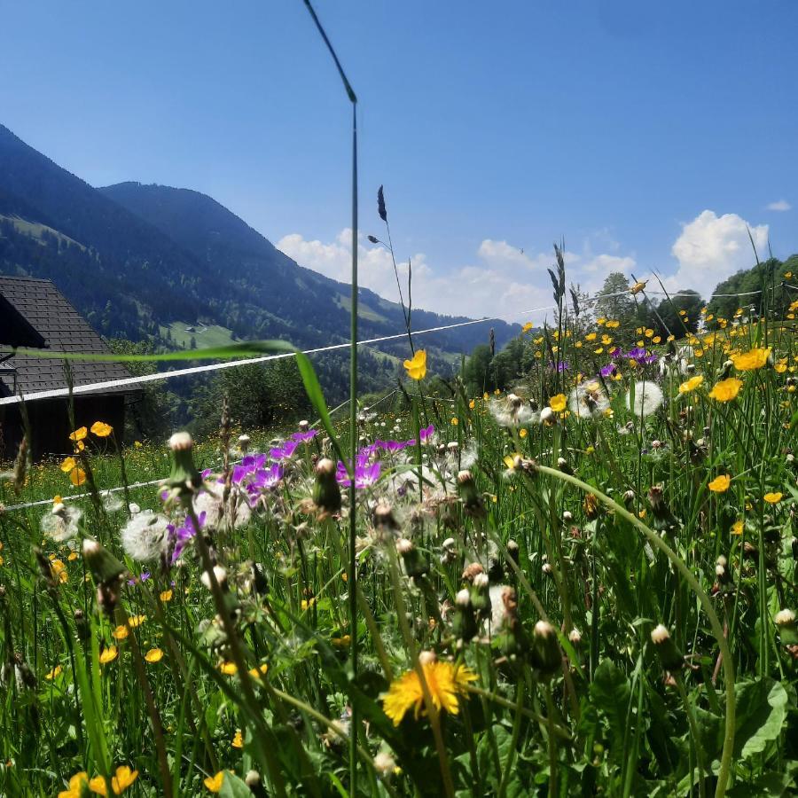 Sunnaschi Appartements - Wohnungen Oder Gesamt Als "Huette" Laterns Extérieur photo
