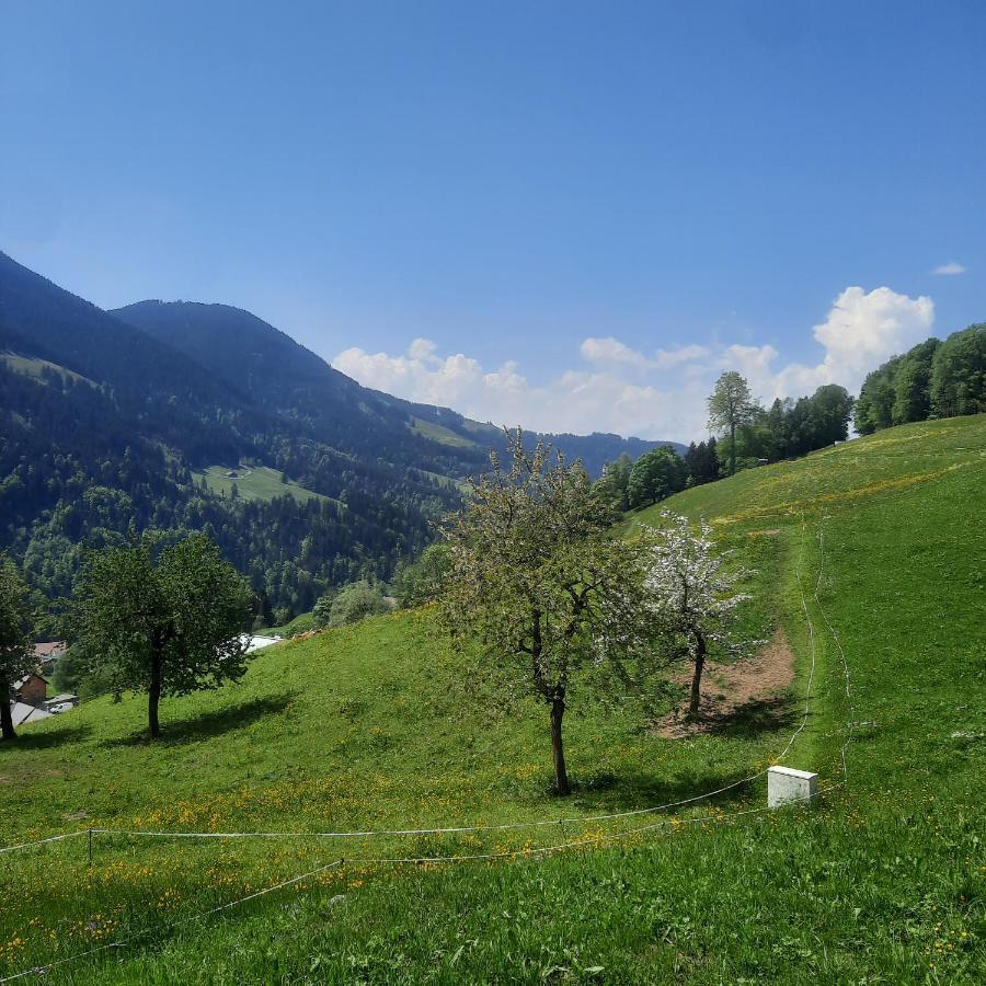Sunnaschi Appartements - Wohnungen Oder Gesamt Als "Huette" Laterns Extérieur photo