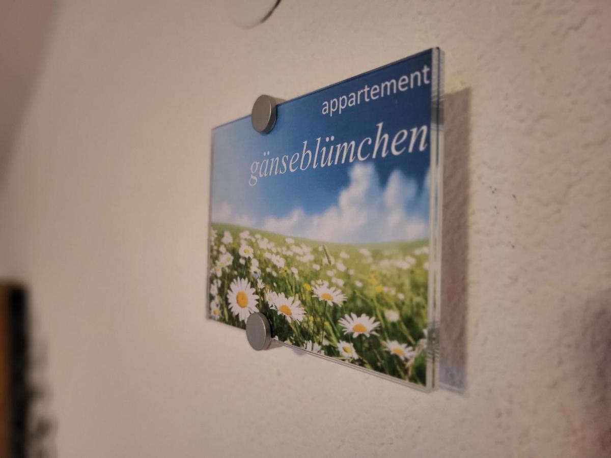 Sunnaschi Appartements - Wohnungen Oder Gesamt Als "Huette" Laterns Extérieur photo