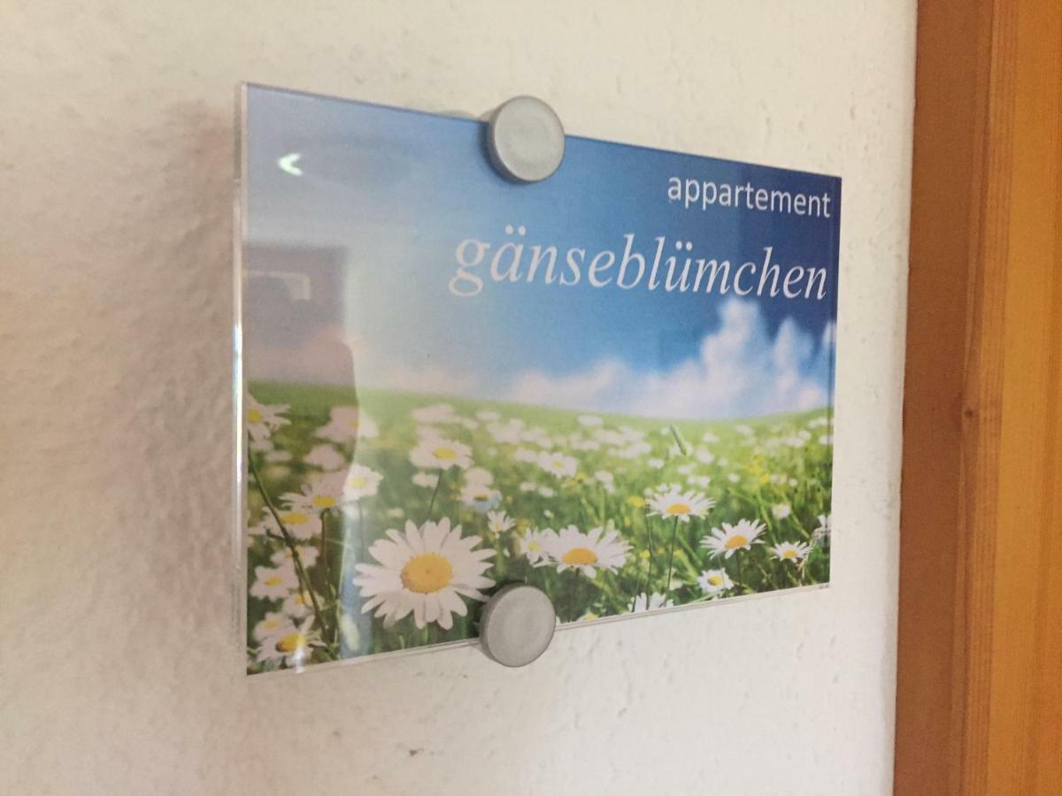 Sunnaschi Appartements - Wohnungen Oder Gesamt Als "Huette" Laterns Extérieur photo