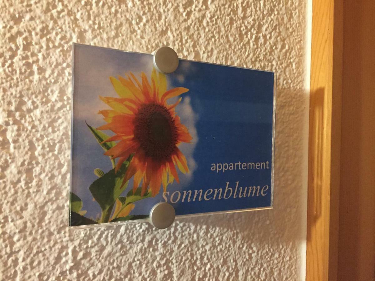 Sunnaschi Appartements - Wohnungen Oder Gesamt Als "Huette" Laterns Extérieur photo